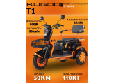 Электровелосипед Рикша Kugoo T1 трехколесный